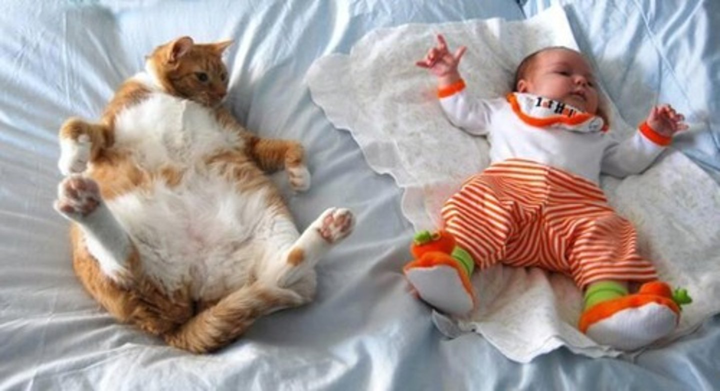 <p>вдавати; прикидатися кимось</p><p>She p___ to be asleep, but I know she is not.</p><p>Julie p___ to be Jenny, and deceived me.</p>