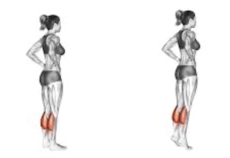 <p>Body weight standing calf raise</p>