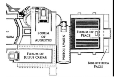 <p>In narrow space between forums of Augustus &amp; Julius Caesar and the Forum of Peace</p><p>Also called Forum Transitorium (because used to pass through to the main Roman Forum)</p><p>Temple dedicated to Minerva</p><p></p>