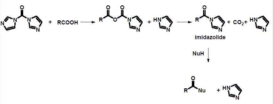 <p>N,N-carbonyldiimidazole = staab’s reagent</p><p></p>