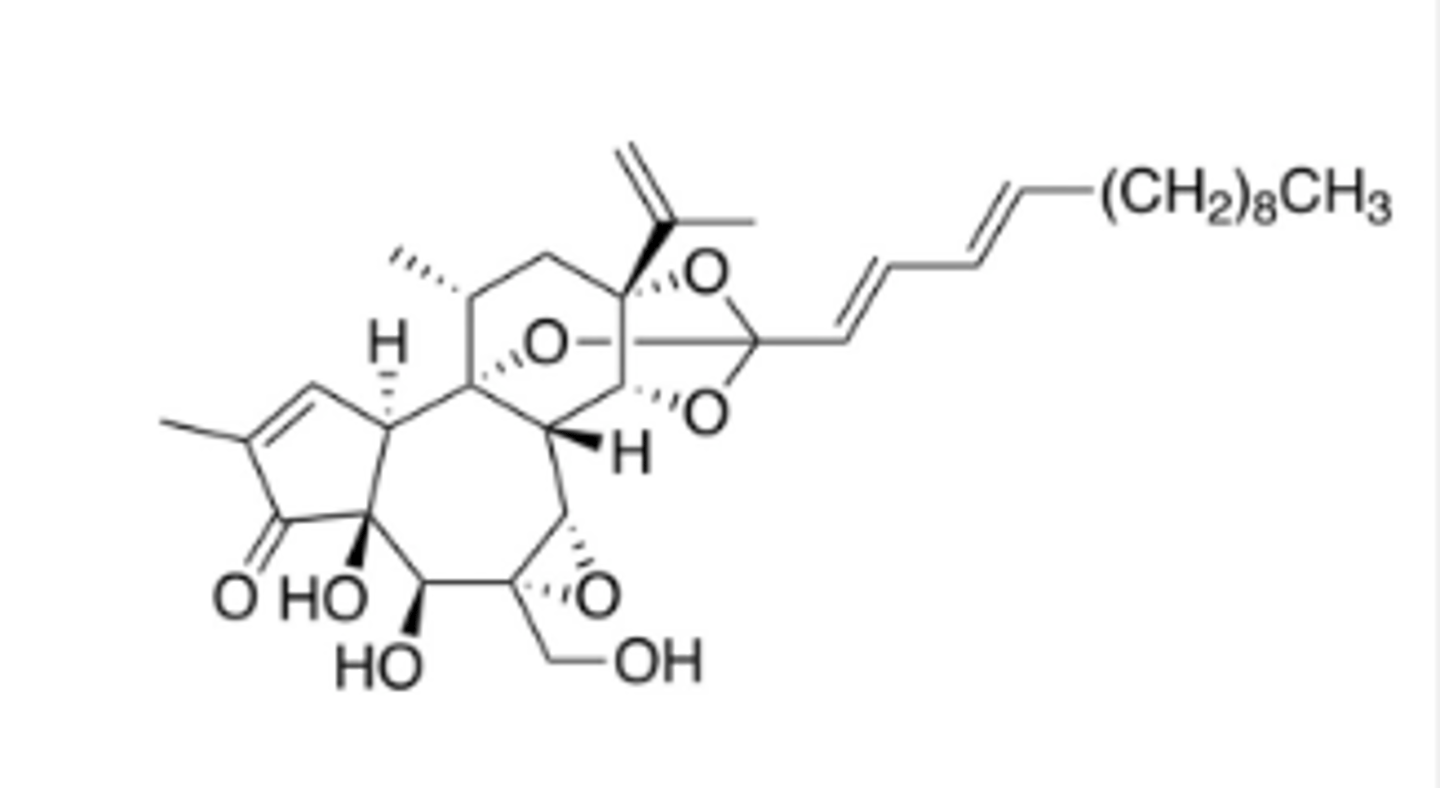 <p>Is a significant toxin produced by a genus in the Cucurbitaceae family</p>
