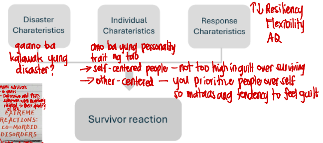 <p>Any one survivor’s reaction will result from an interaction between the <strong>characteristics of the disaster, the individual, and the response.</strong></p>