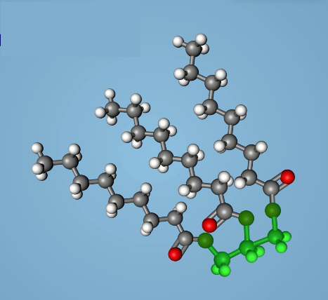 <p>The molecule shown in the image is a ___ and the green highlighted portion is a ___</p>
