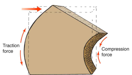 <p>Combination of compression on one side and traction on the other, like when we side bend through the vertebra </p>