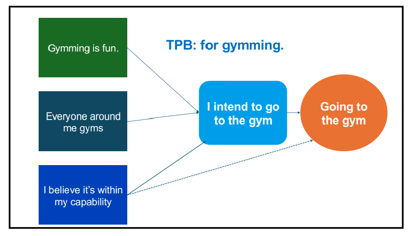 <p>Subjective norms are perceived social expectations (“Everyone around me goes to the gym”). Perceived behavioural control is believing you can perform the action (“I can fit gym sessions into my schedule”). Both influence intention.</p>