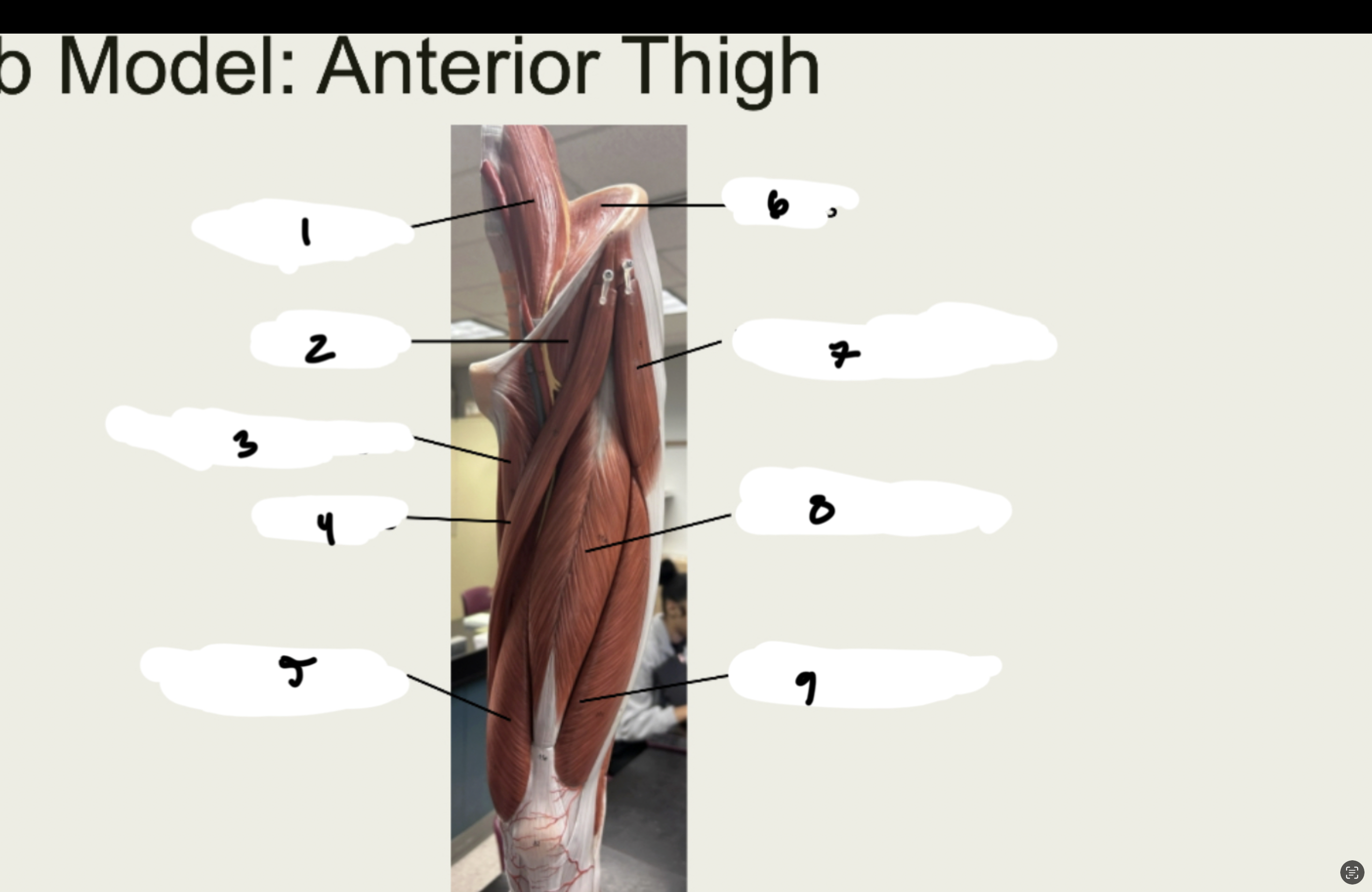 <p>1.XX</p><p>2.XX</p><p>3.XX</p><p>4.XX</p><p>5.XX</p><p>6.XX</p><p>7.XX</p><p>8.XX</p><p>9.XX</p>