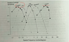 <p>The CSF of other species all demonstrate what type of filter?</p>