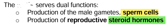 <p><strong><u>Testes Function</u></strong></p>