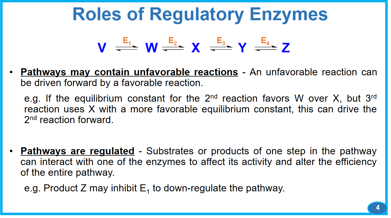 <p>Read in Depth</p><p>Think as an analog for hormone secretions and stuff. Feedback loops and stuff</p>