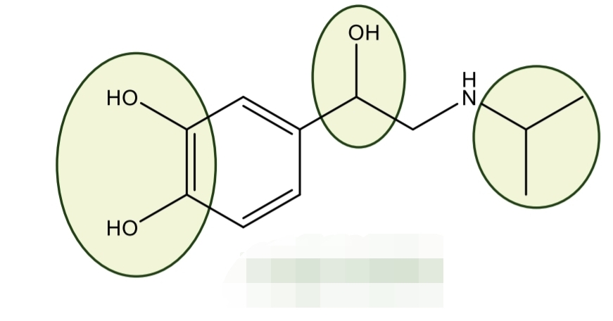 <p>Sympathomimetics</p>