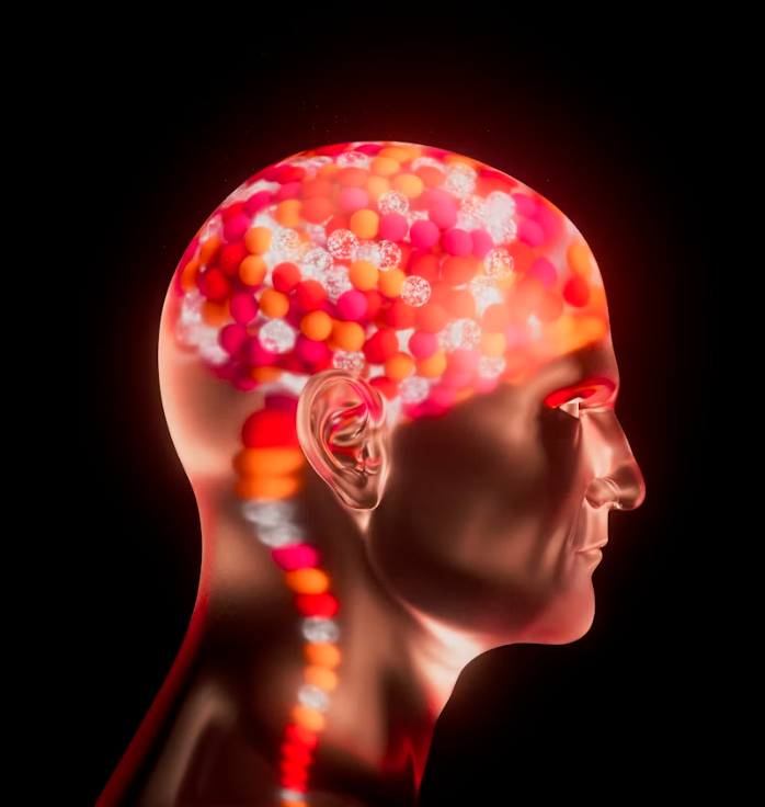 <p>What is the state of mental awareness? (Noun)</p>