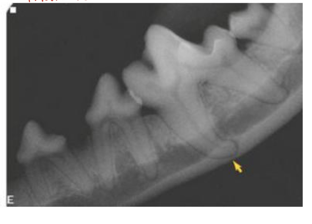 <p>what is this image showing?</p>