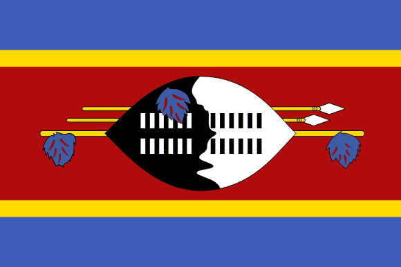 <p> </p>