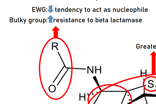 <p>this is the part that can be modified”:</p>