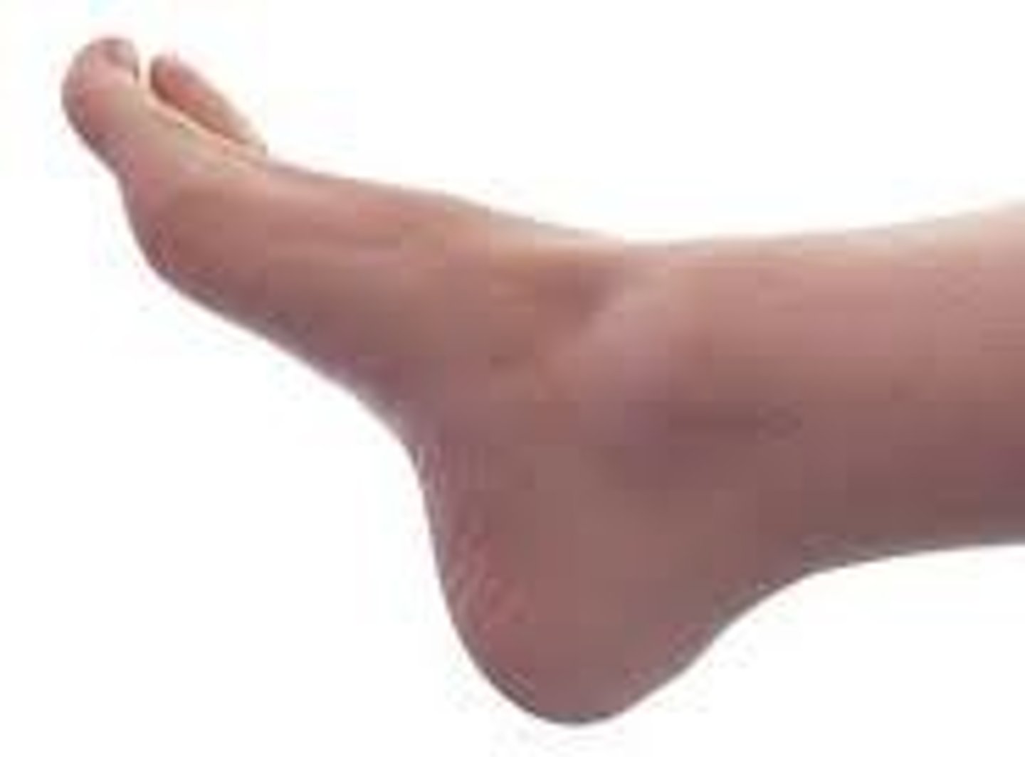 <p>foot, toes</p>