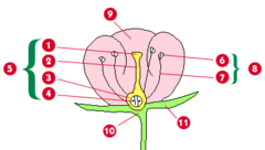 <p>Identify part #2</p>