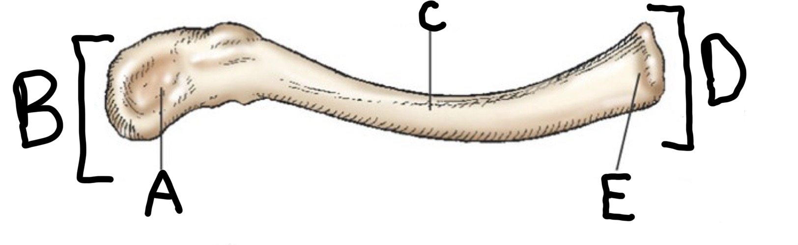<p>a?</p>