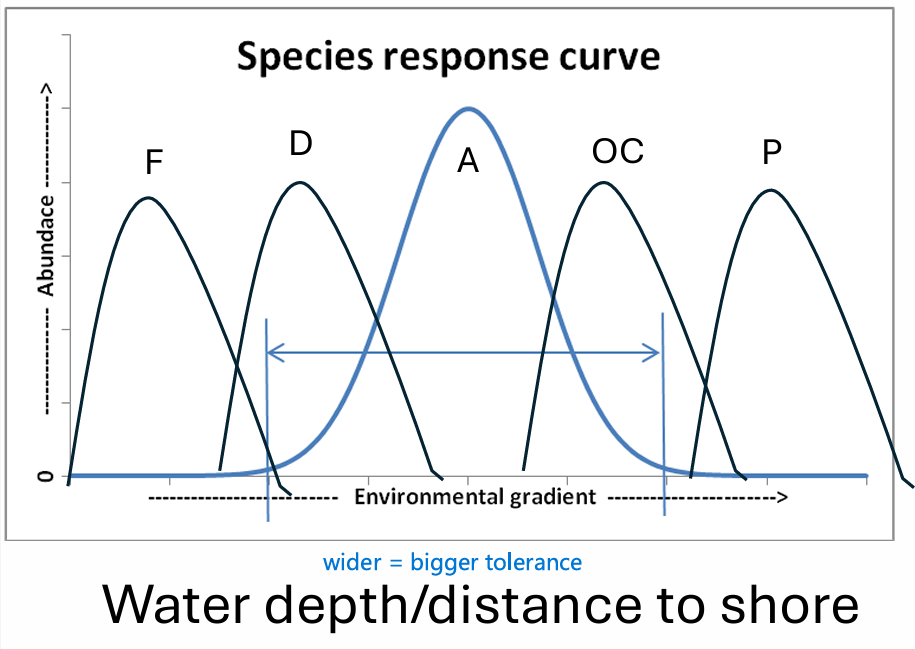 <ul><li><p>include many dimensions that describe</p><ul><li><p>resources, habitat, behavior</p></li><li><p>abiotic & biotic factors </p></li></ul></li></ul><p></p>