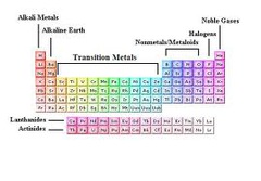 <p>Main group, transition metals, and inner transition metals</p>