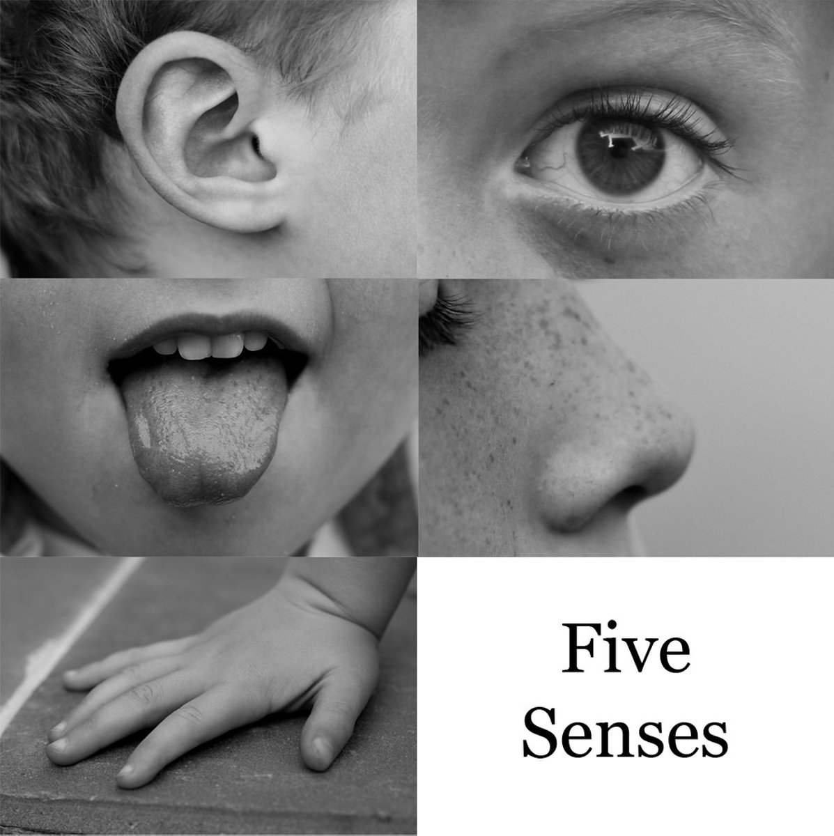 <p>1. (of a feeling or atmosphere) so intense as to seem almost tangible.</p><p>2. able to be touched or felt.</p>