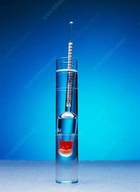 <p>to measure specific gravity</p>