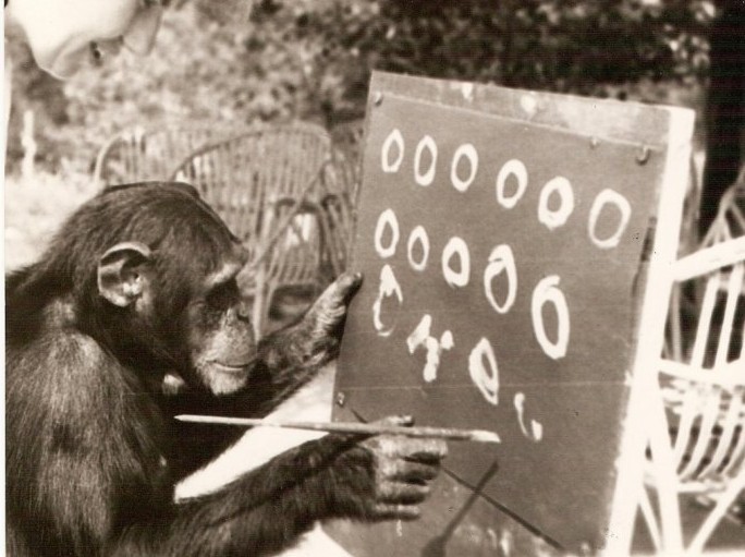 <p>Demonstrate advanced cognitive functions, including problem-solving, tool-making, and social learning.</p>