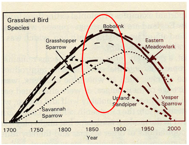 <p>introduced bobolink and meadowlark (grassland loving birds) into an environment that wasnt supposed to have them, then phased back out cause they werent supposed to be there anyways</p><p>ultimately - forest loving birds prevail because climate state factor would predict that forests dominate the landscape</p><p>proximately - grassland loving birds dominated in the 1850s since we cut down most of the forests and created open grasslands</p>