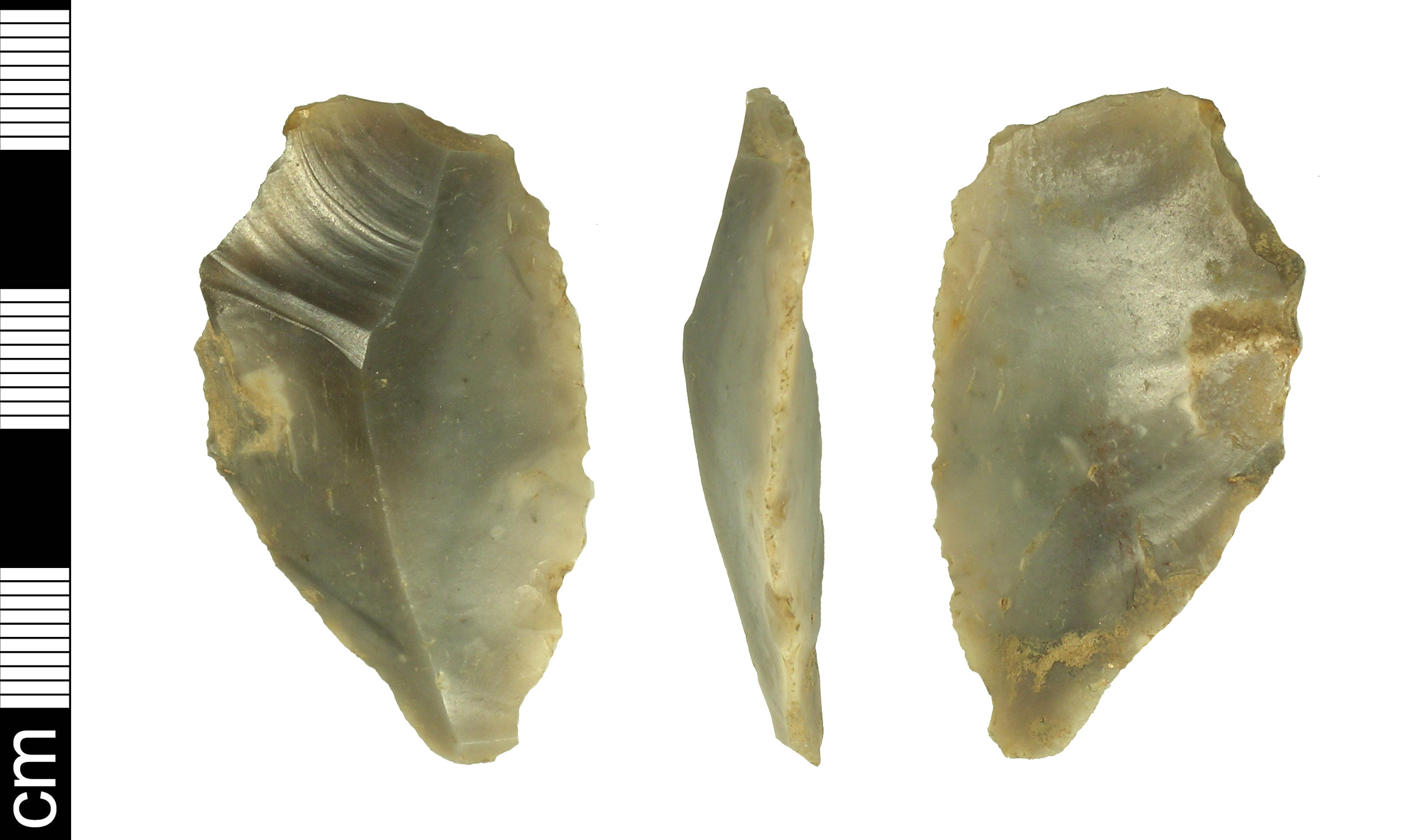 <p><span>Thin sharp pieces broken off a stone core; used like knives for cutting and slicing from Oldowan Industry</span></p>