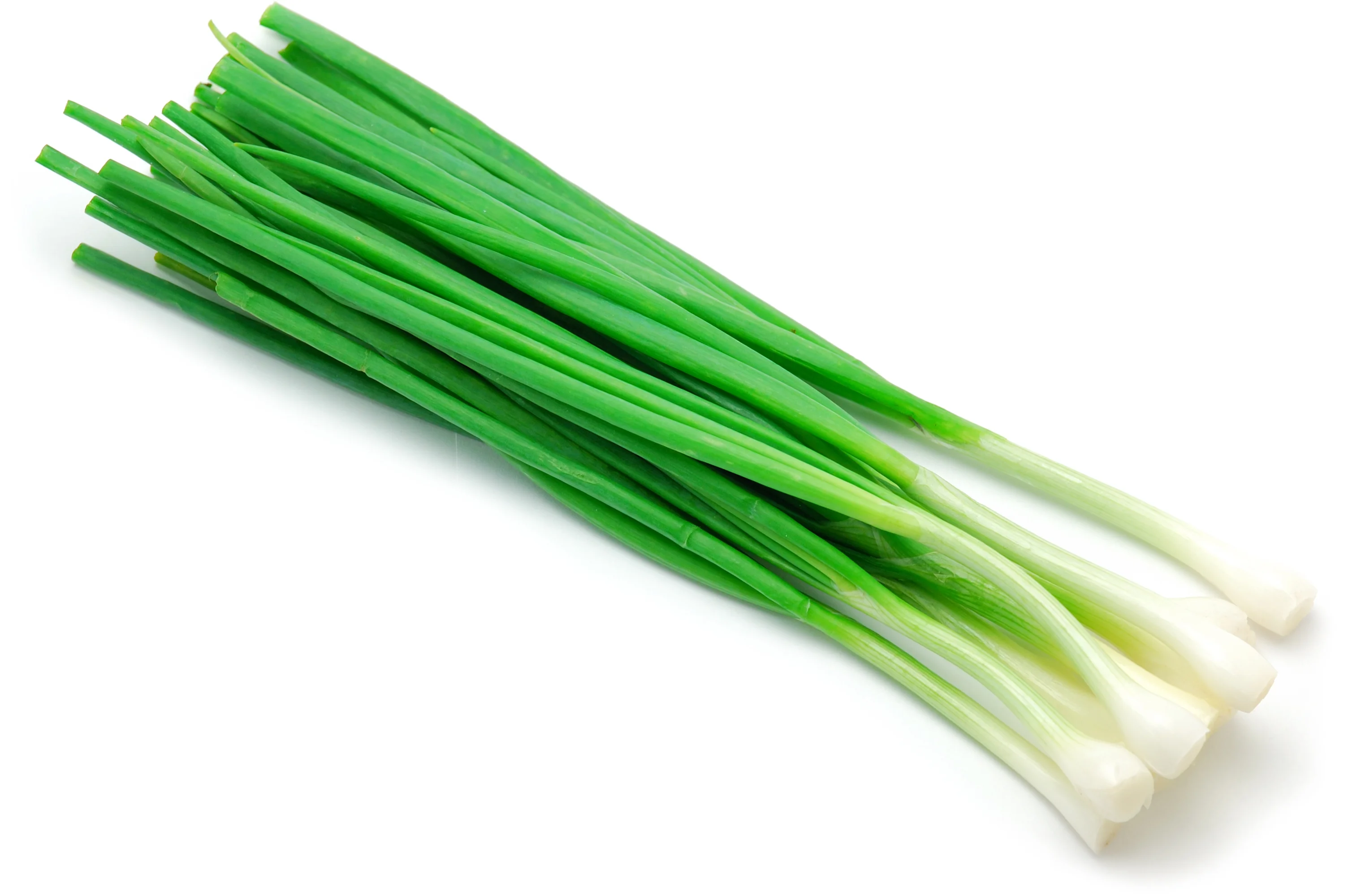 <p>Green Onions</p>