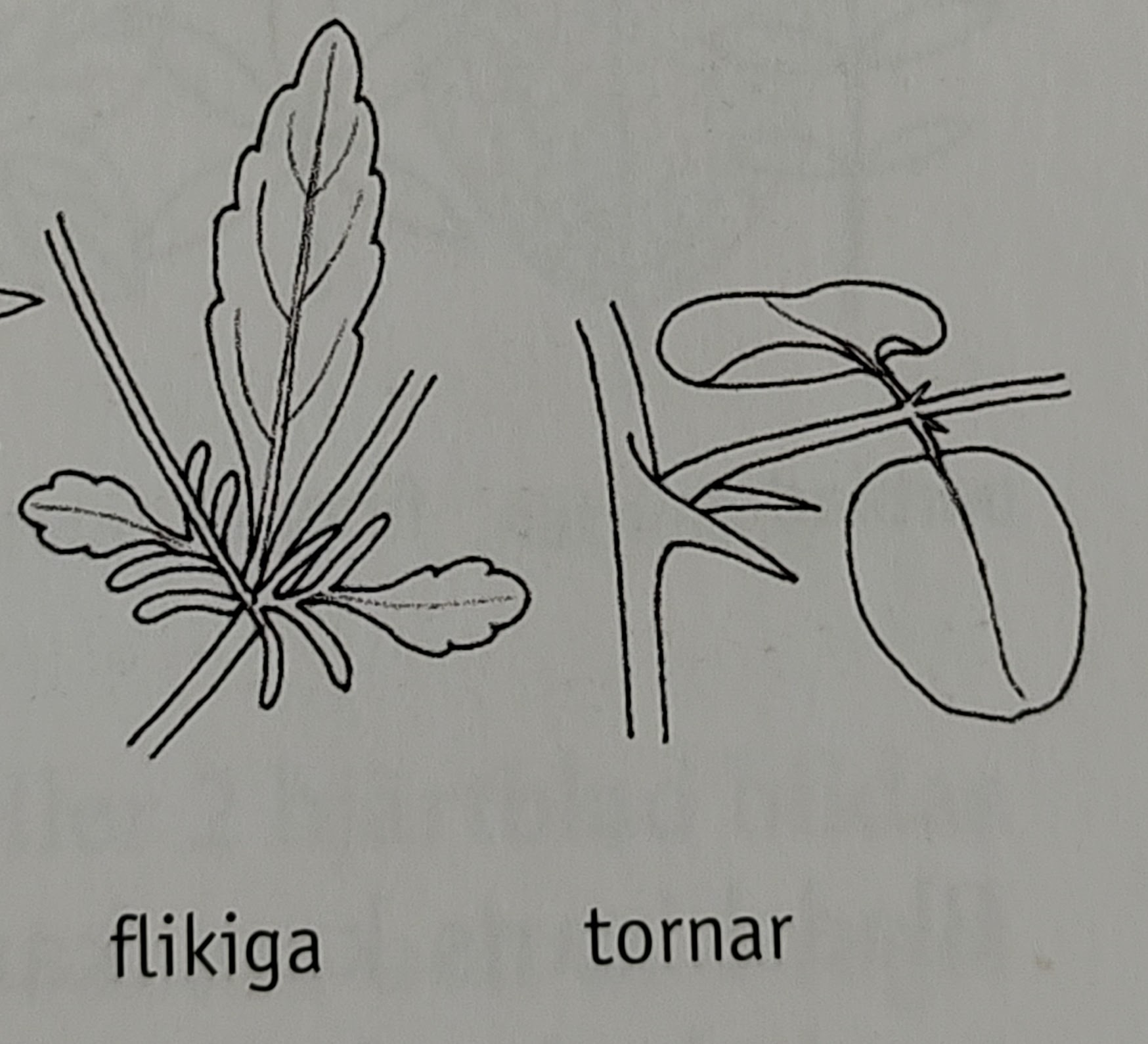 <p></p>
