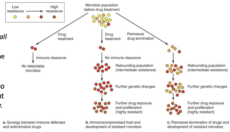 <p><strong><u>Two</u></strong> aspects must be considered:</p><p>[1] Most treatment works synergistically with the immune system.</p><ul><li><p>It doesn’t have to eliminate <em>all</em> microbes.</p></li><li><p>It just has to give the immune system a fighting chance.</p></li></ul><p>[2] Therapeutic levels must be used that are high enough to help eliminate microbes, but low enough to avoid toxicity.</p>