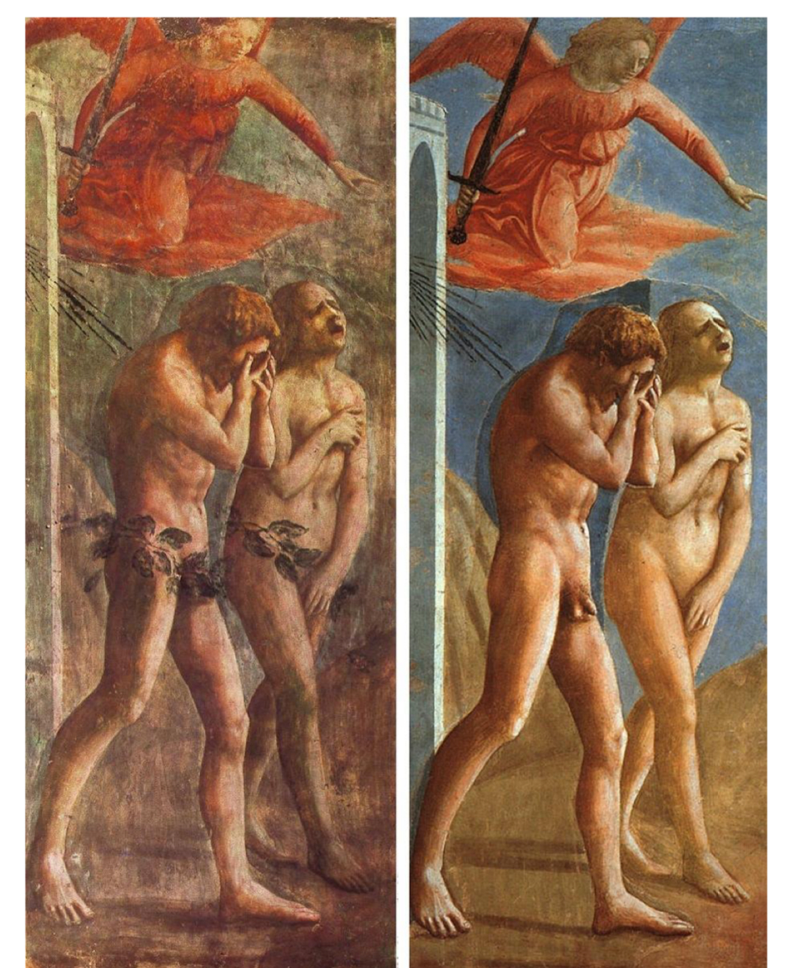term image