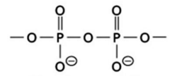<p>"Linkages" (types of covalent bonds) in biochemical compounds</p>