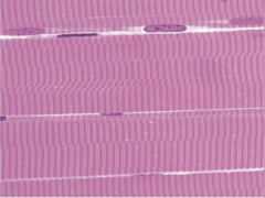 <p>What does this image show?</p>