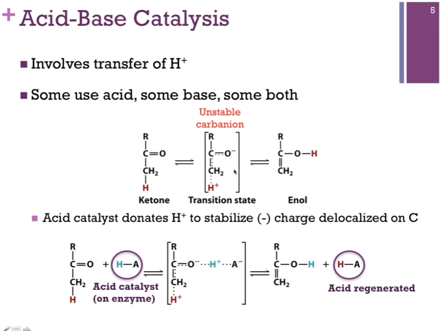 <p><strong>Involves transfer of H+.</strong> Some enzymes use acid catalysis, some use base catalysis, and some use a combination of the two. Top schematic: We have a chemical reaction where we’re converting a ketone to an enol. Our transition molecule is in brackets; it involves an unstable carbanion. We will see how we will use catalysis to stabilize this intermediate!</p><p>Acid catalysis (H-A) is capable of donating a proton. Important to recognize that this is an amino acid chain on the enzyme. In the bottom schematic, you see in the intermediate, our acid catalyst has done its job of donating the proton (that blue proton!) to neutralize the negative charge on that oxygen atom. BEFORE that final product forms, however, that acid group must extract a proton from the OTHER end of the intermediate SO THAT it REGENERATES the acid form. Enzymes are catalysts! => means they cannot be permanently modified in the course of the reaction. If we started with an acid group protonated, we have to end with protonating that same acid! NOTE! In the bottom schematic, the acid regenerated HAS a red proton!!!</p>