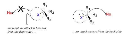<p>the specific pathway a nucleophile takes to bond with carbon during SPECIFICALLY ONLY an SN2 reaction. The nucleophile <em>must</em> attack from the back because it is forcing the leaving group out at the exact same time. The front side is blocked by the leaving group.</p>