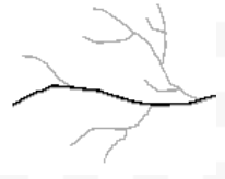 <p>For the follow stream, determine the magnitude using strahler vs shreve’s method</p>