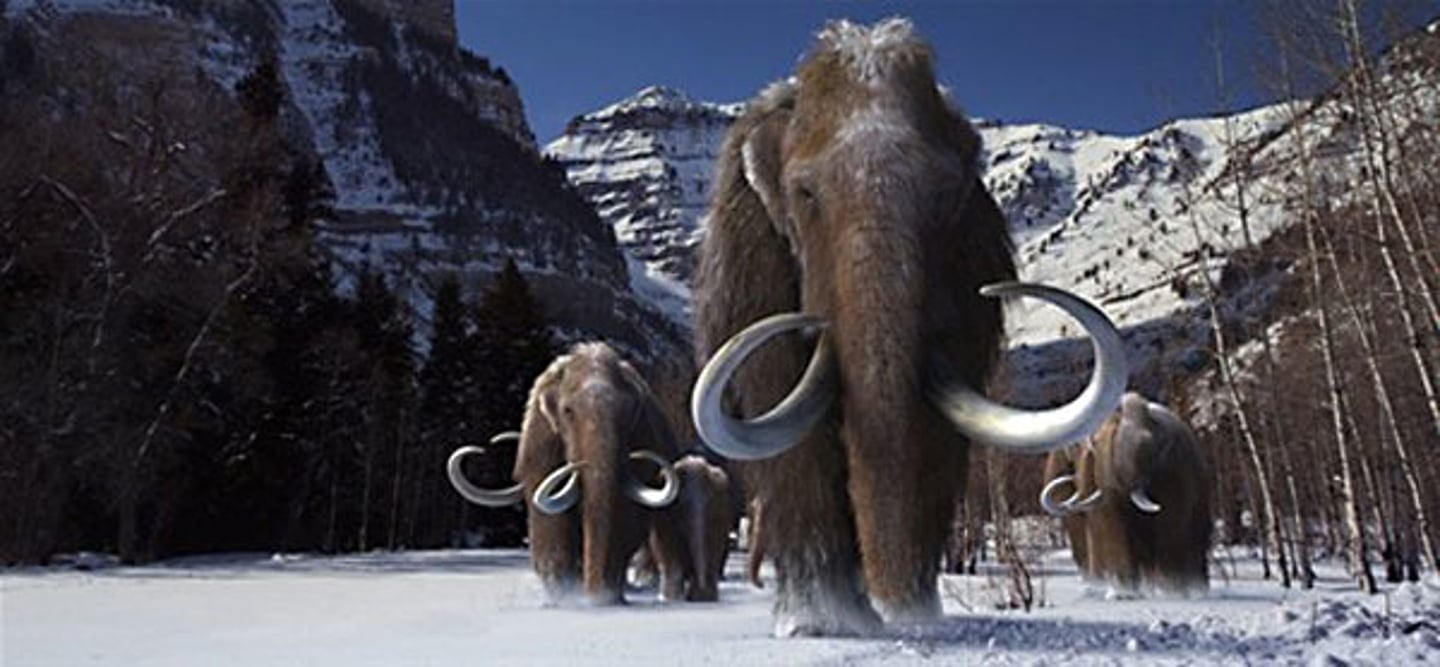 <p>Pleistocene Epoch, ended ~11,500 years ago</p>