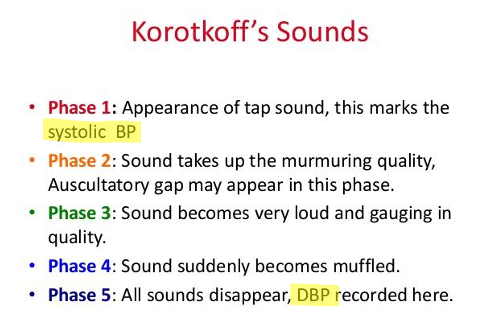 <p>Phase 1: First tap sounds: Systolic BP</p><p>Phase 2</p><p>Phase 3</p><p>Phase 4</p><p>Phase 5: All sounds disappear, Diastolic BP </p>
