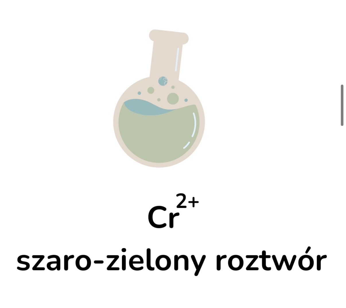 <p>Zasadowy</p>