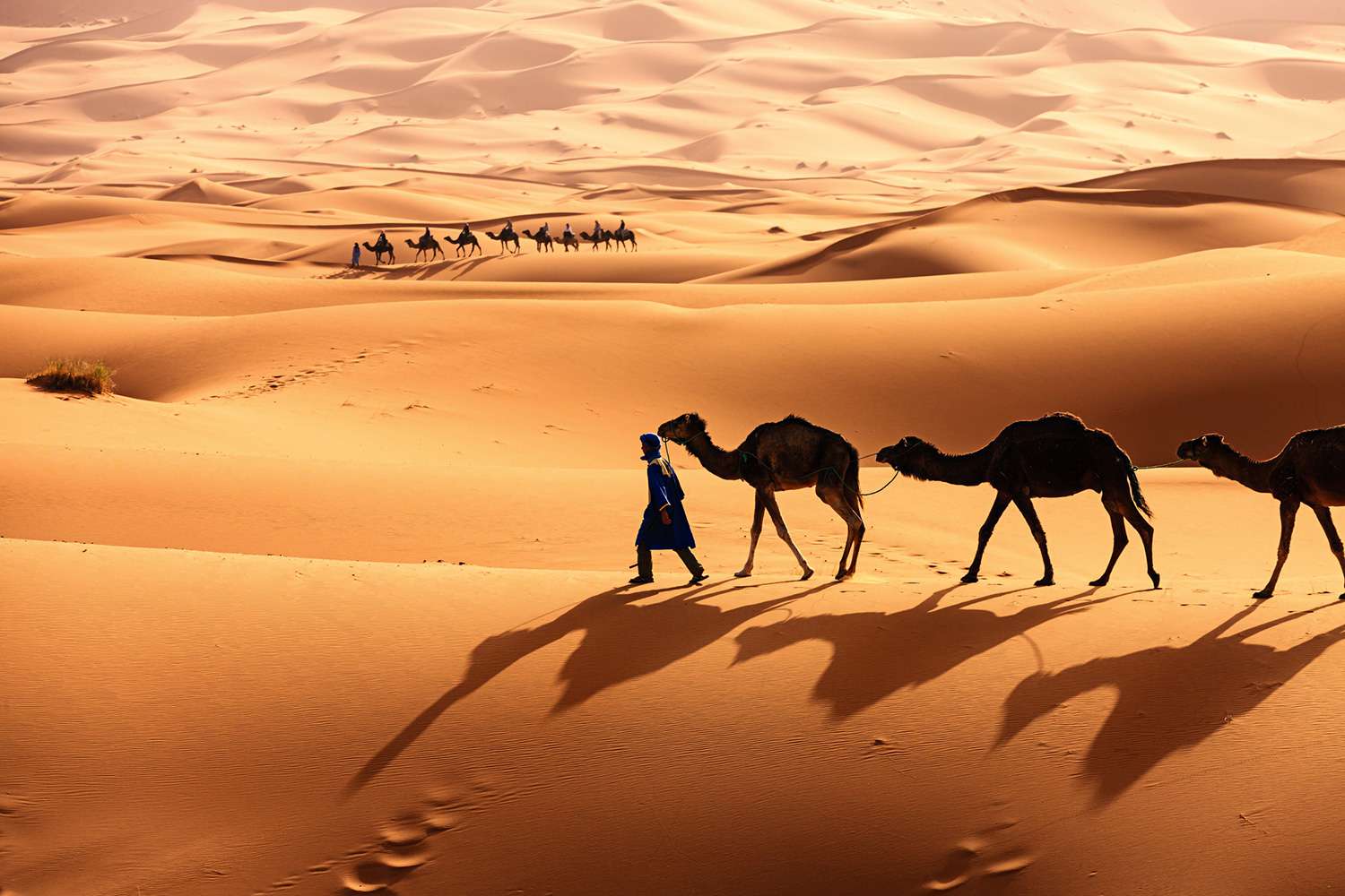 <p>صحراء (SaHraaʾ)</p><p>صَحَارَى (SaHaaraa) ج</p>
