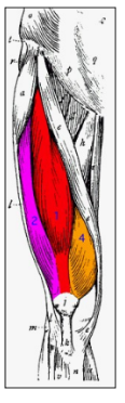 <p>red</p>