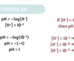<p>C.) 1</p><p></p>
