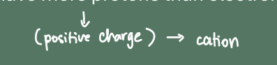 <p>B. Cations</p>