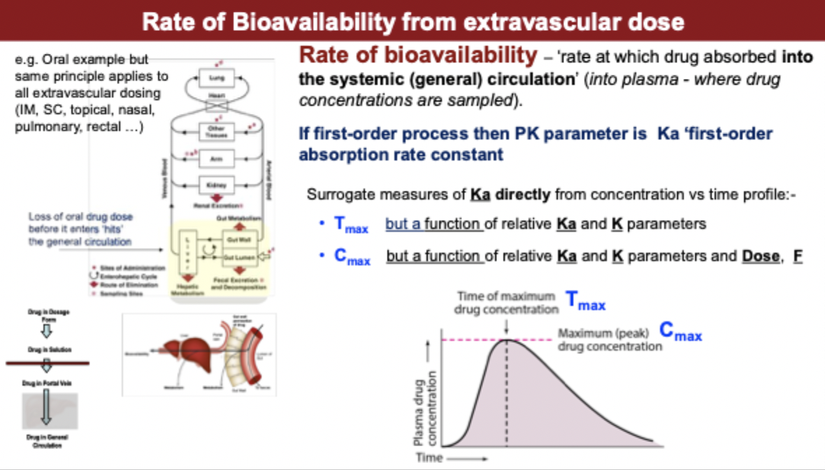 <p>rate of bioavailability from extravascular dose</p>