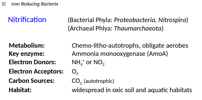 <p>widespread in oxic soil and aquatic habitats</p>
