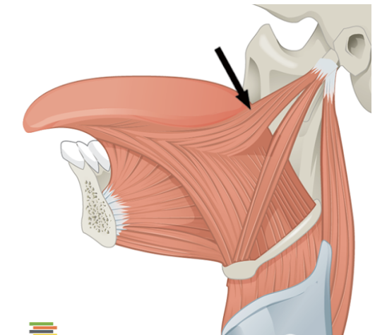 <p>what does this show</p>