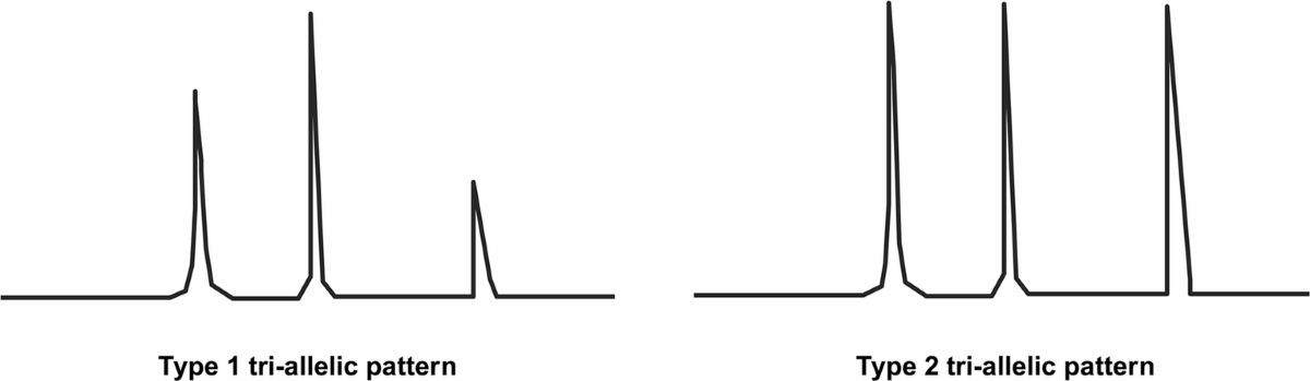 <p>2 peaks equal 1 peak</p><p>3 peaks are equal</p>
