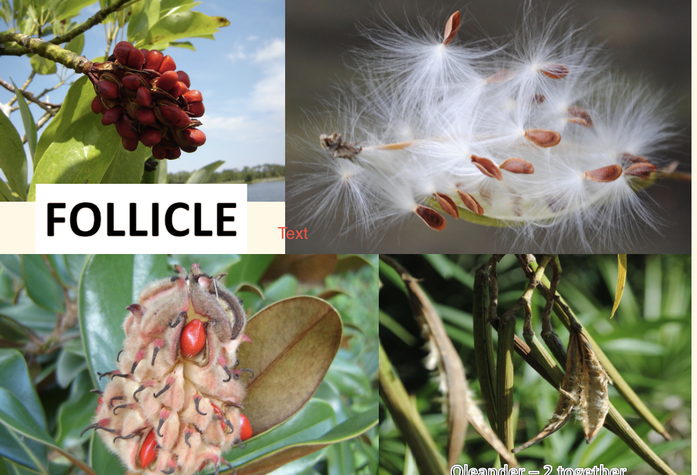 <p>What is this?</p>