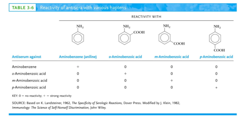 <p>wat toont de tabel?</p>